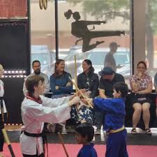 Image result for Freedom Martial Arts