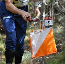 Image result for Dartford Orienteers (DFOK)