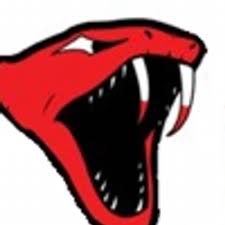 Image result for Glasgow Vipers Roller Hockey Club