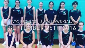 Image result for Swallows Trampoline Club