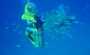 Image result for Underwater Adventures