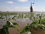 http://cache.boston.com/universal/site_graphics/blogs/bigpicture/iowa_06_17/iowa9.jpg