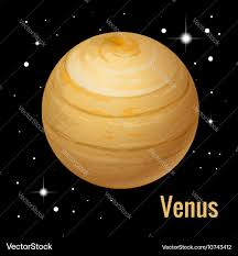 Image result for venus