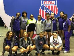 Image result for Chesterfield Cobras Volleyball Club