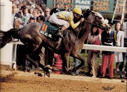 Image result for Pastures Company Of Archers, Mickleover, Derby