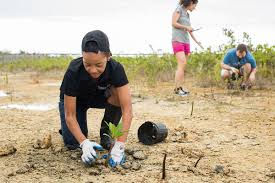 Image result for Deeping Sports & Social Club