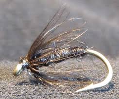 Image result for Dulverton Angling Association