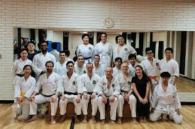 Image result for York University Karate Club