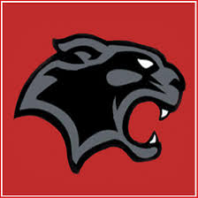 Image result for Swindon Panthers