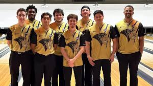 Image result for Flexsys Bowling Club