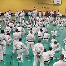 Image result for Haslemere Shotokan Karate Club