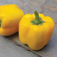 Afbeeldingsresultaat voor baby yellow sweet pepper