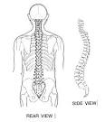 Wanna Stay Married? Better Grow a Backbone! » Marriage Works!