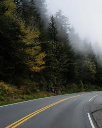 Image result for ,diqJABBBiNV