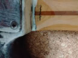 「アナイス・ワタソン」の画像検索結果