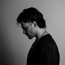 Image result for dordzse