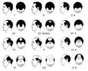 http://t0.gstatic.com/images?q=tbn:ANd9GcRqMVzd3QP7y4-A1sjlSdBvsGTeKopgoTnBz31Aii7uhB2qZZN3Aovif14B