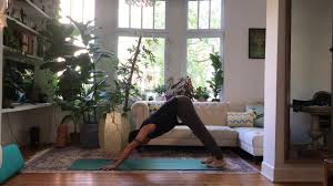 Image result for Bruces Yoga Classes