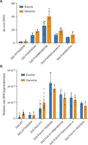 Attēlu rezultāti vaicājumam “Diderma ochraceum plasmodium”