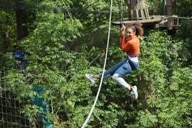Image result for Go Ape! Leeds Castle