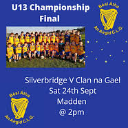 Image result for Silverbridge Harps Gac