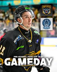 Image result for Nottingham Panthers