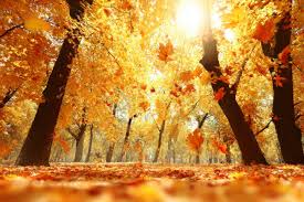 Image result for Приметы