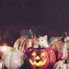 Image result for ﾃ｣ﾂδ ｣ﾂつ｣ﾃ｣ﾂδｳﾃ｣ﾂδ療｣ﾂδｫﾃ｣ﾂつｭﾃ｣ﾂδｼ