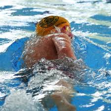 Image result for Ledbury & District Amateur Swimming Club
