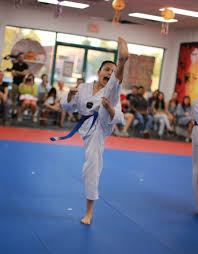Image result for White Tiger Martial Arts