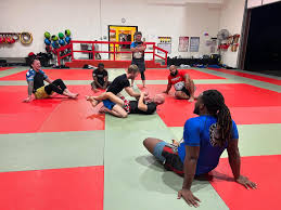 Image result for NEMESIS MARTIAL ARTS & FITNESS