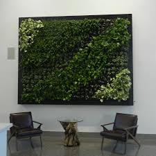 Image result for living wall