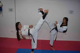 Image result for Red Dragon Taekwondo club
