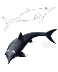 Attēlu rezultāti vaicājumam “Didymium serpula young”