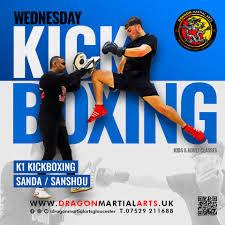 Image result for Kicking Dragon Kung Fu School, Belfast