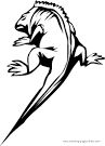 Iguana coloring page