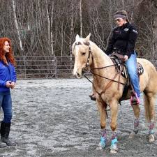 Image result for Bookham Riding Club