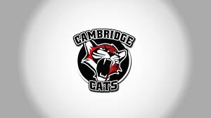 Image result for Cambridge Cats Basketball Club
