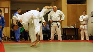 Image result for York Railway Institute Judo Club