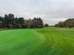 Image result for Hazel Grove