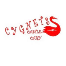 Image result for Castle Cary Cygnets Majorettes