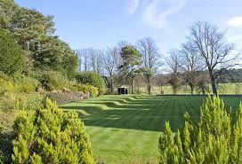 Image result for Downe Cricket Club