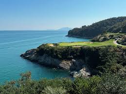 Image result for Stoke Willfield Octopush Club