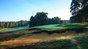 Image result for Downshire Golf Complex