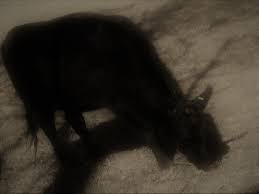 Image result for North Oxfordshire Mac