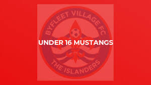 Image result for Byfleet Village Football Club