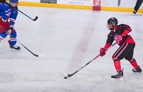 Image result for Streatham Youth Ice Hockey Club