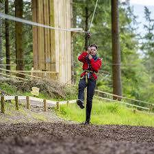 Image result for Go Ape! Thetford