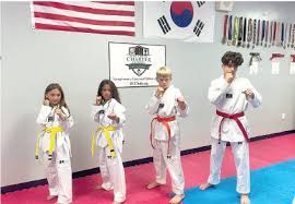 Image result for Ashford School Of Taekwondo