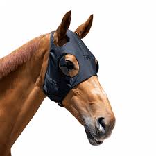 Image result for scheuklappen